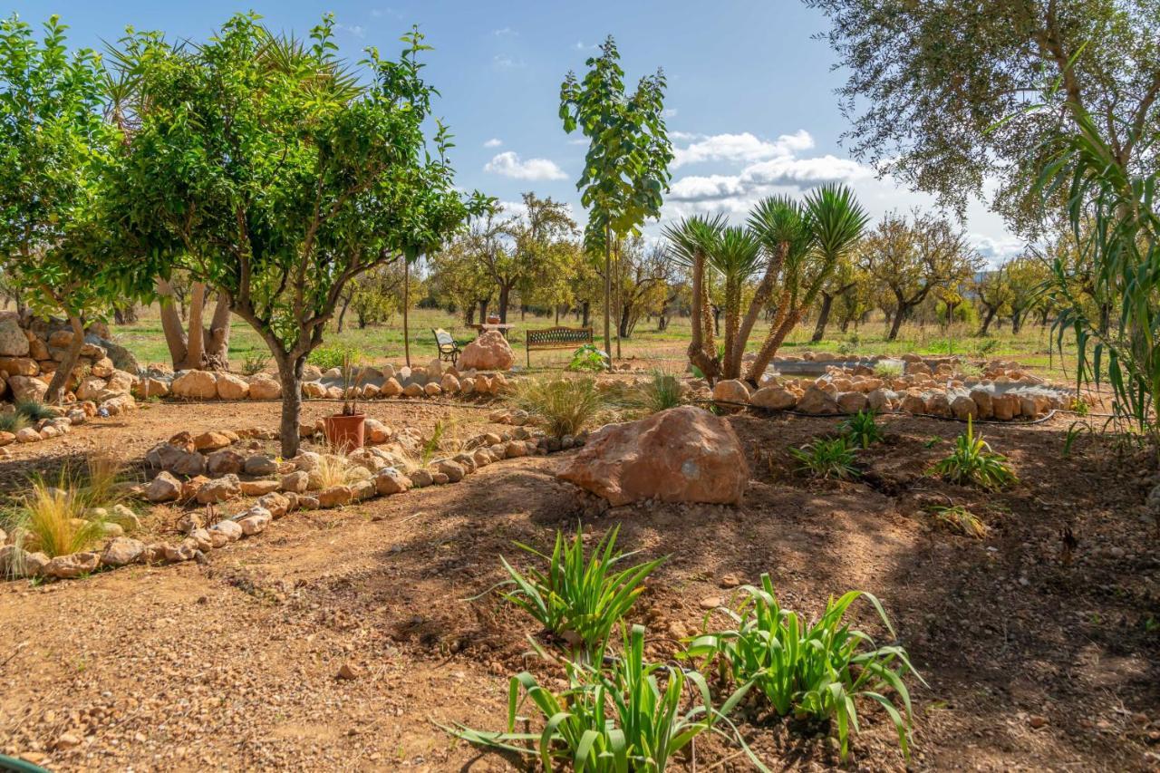 Sa Caseta -Ca N'Andreu- سانتا ماريا ديل كامي المظهر الخارجي الصورة